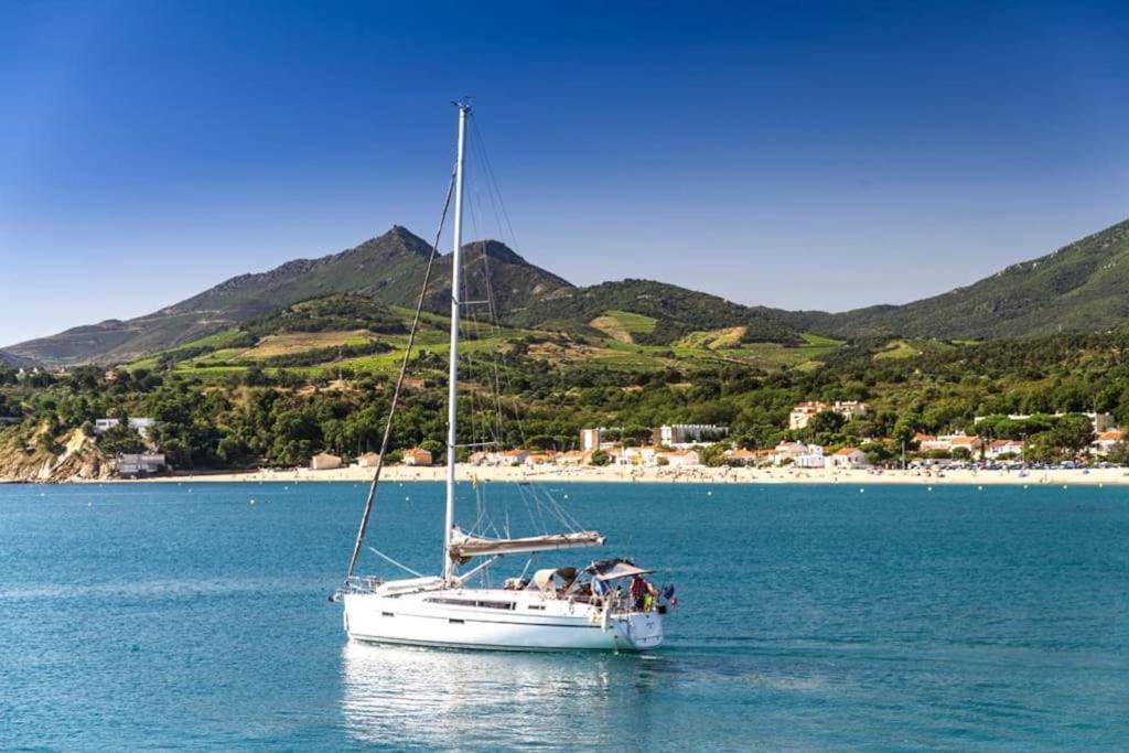 "Les Bambous" Studio Cosy Climatise Au Calme De 37 M2 Parking Gratuit A Argeles Sur Mer Exterior foto